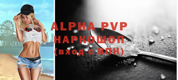 a pvp Магас