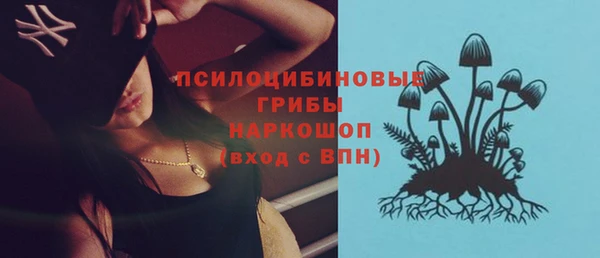 МДПВ Мегион