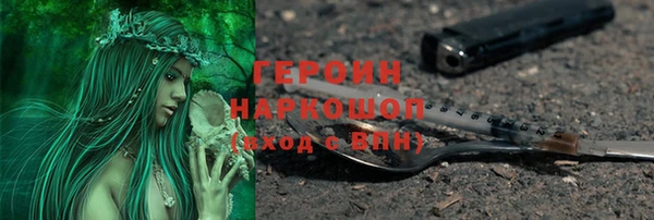 прущие грибы Медвежьегорск