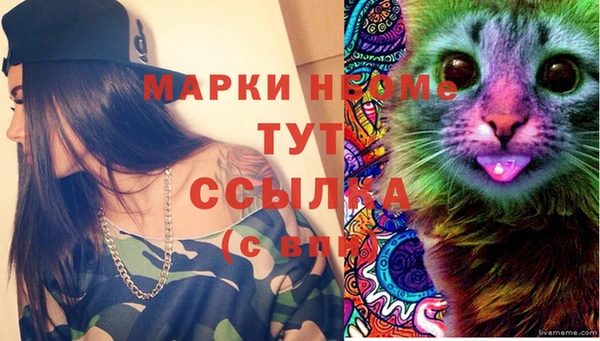 a pvp Магас
